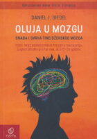 Oluja u mozgu