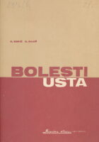 Bolesti usta