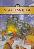 Vlak u snijegu