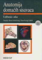 Anatomija domaćih sisavaca