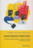 Odgovornost direktora