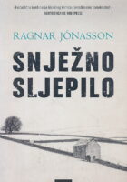 Snježno sljepilo