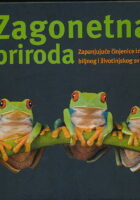 Zagonetna priroda