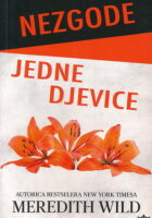 Nezgode jedne djevice