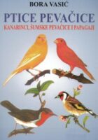 Ptice pevačice: kanarinci, šumske i papagaji