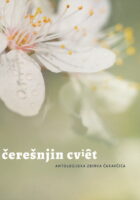 Črešnjin cviet