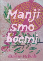 Manji smo boemi