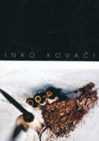 Dinko Kovačić
