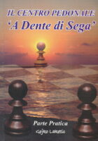 Il centro pedonale