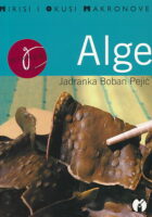 Alge