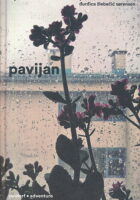 Pavijan