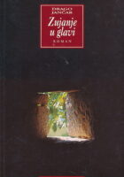 Zujanje u glavi