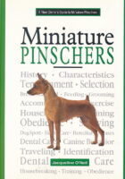 Miniature Pinschers