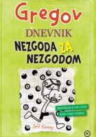 Gregov dnevnik: Nezgoda za nezgodom