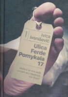 Ulica Ferde Pomykala 17