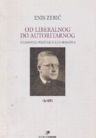 Od liberalnog do autoritarnog. Filozofija politike Julija Makanca