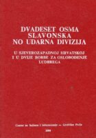 Dvadeset osma slavonska NO udarna divizija