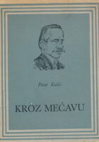Kroz mećavu