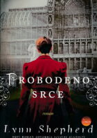 Probodeno srce : roman