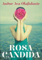 Rosa candida