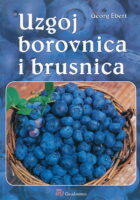 Uzgoj borovnica i brusnica