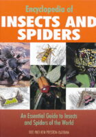 Encyclopedia of Insects And Spiders: An Essential Guide to Insects and Spiders of North America and the World