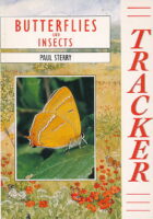 Butterflies and Insects