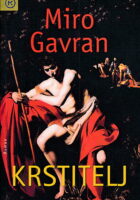 Krstitelj : roman