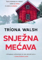 Snježna mećava