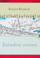 Začuđeni svatovi