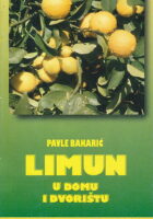 Limun u domu i dvorištu