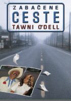 Zabačene ceste