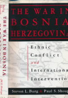 The War in Bosnia-Herzegovina: Ethnic Conflict and International Intervention