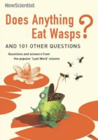 Does Anything Eat Wasps?
