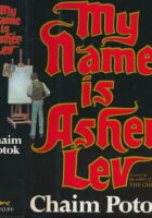 My Name Is Asher Lev