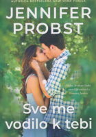 Sve me vodilo k tebi