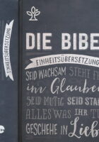 Die Bibel - Einheitsübersetzung - Jugendbibel