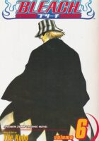 Bleach 6