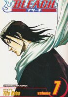 Bleach 7