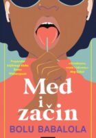 Med i začin
