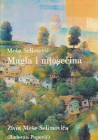 Magla i mjesečina