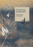 Cvijet sa raskršća. Izbor iz djela A. G. Matoša