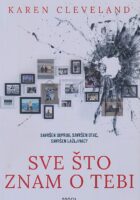 Sve što znam o tebi