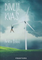 Divlji kvas