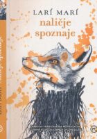 Naličje spoznaje
