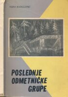 Poslednje odmetničke grupe