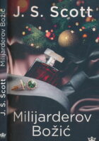 Milijarderov Božić