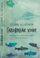 Čarobnjak vode
