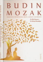 Budin mozak