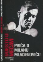 Mjesto u mećavi